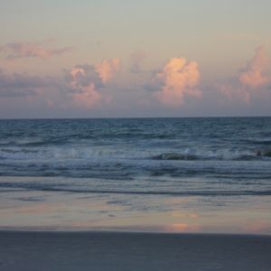 Meet your Posher, Irene